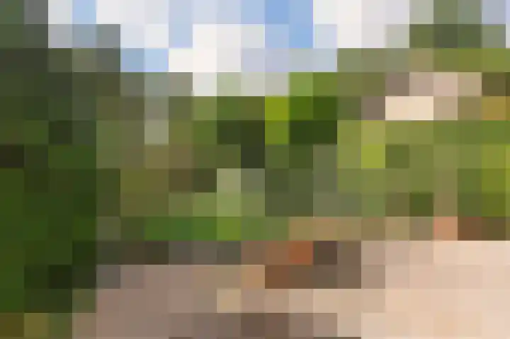 Zevenheuvelenweg 65 Berg en Dal thumbnail 48