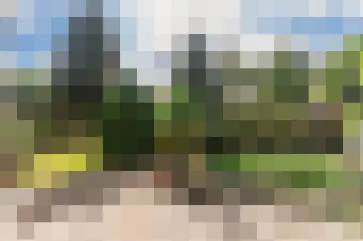 Zevenheuvelenweg 65 Berg en Dal thumbnail 49