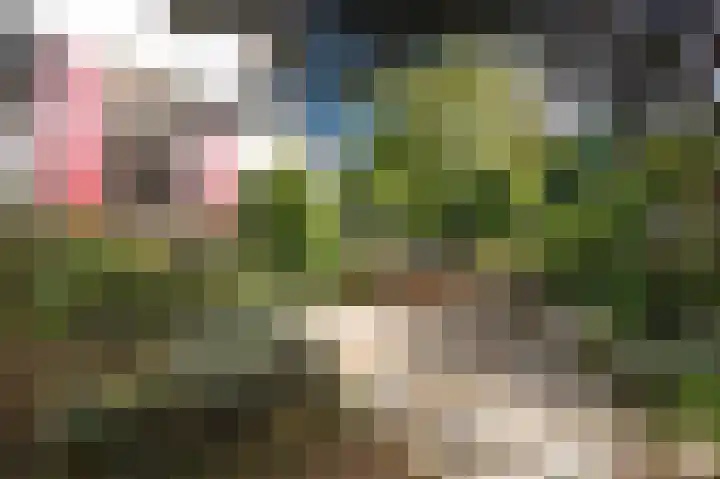 Zevenheuvelenweg 65 Berg en Dal thumbnail 50