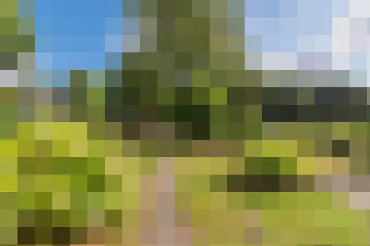 Zevenheuvelenweg 65 Berg en Dal thumbnail 51