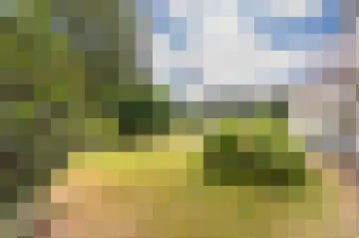 Zevenheuvelenweg 65 Berg en Dal thumbnail 52