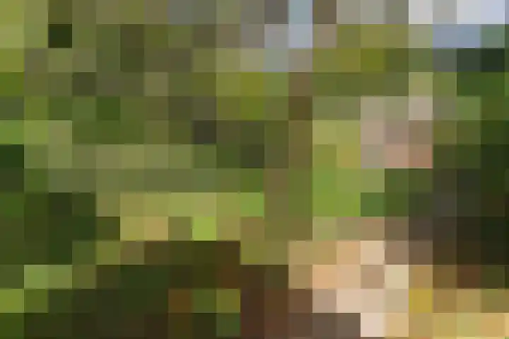 Zevenheuvelenweg 65 Berg en Dal thumbnail 55