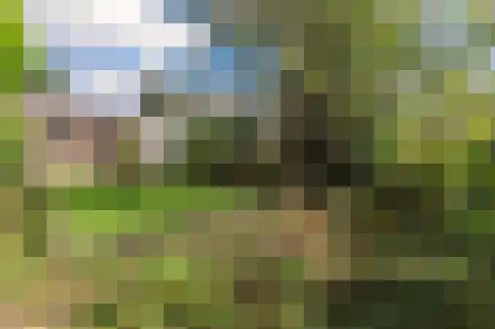 Zevenheuvelenweg 65 Berg en Dal thumbnail 56