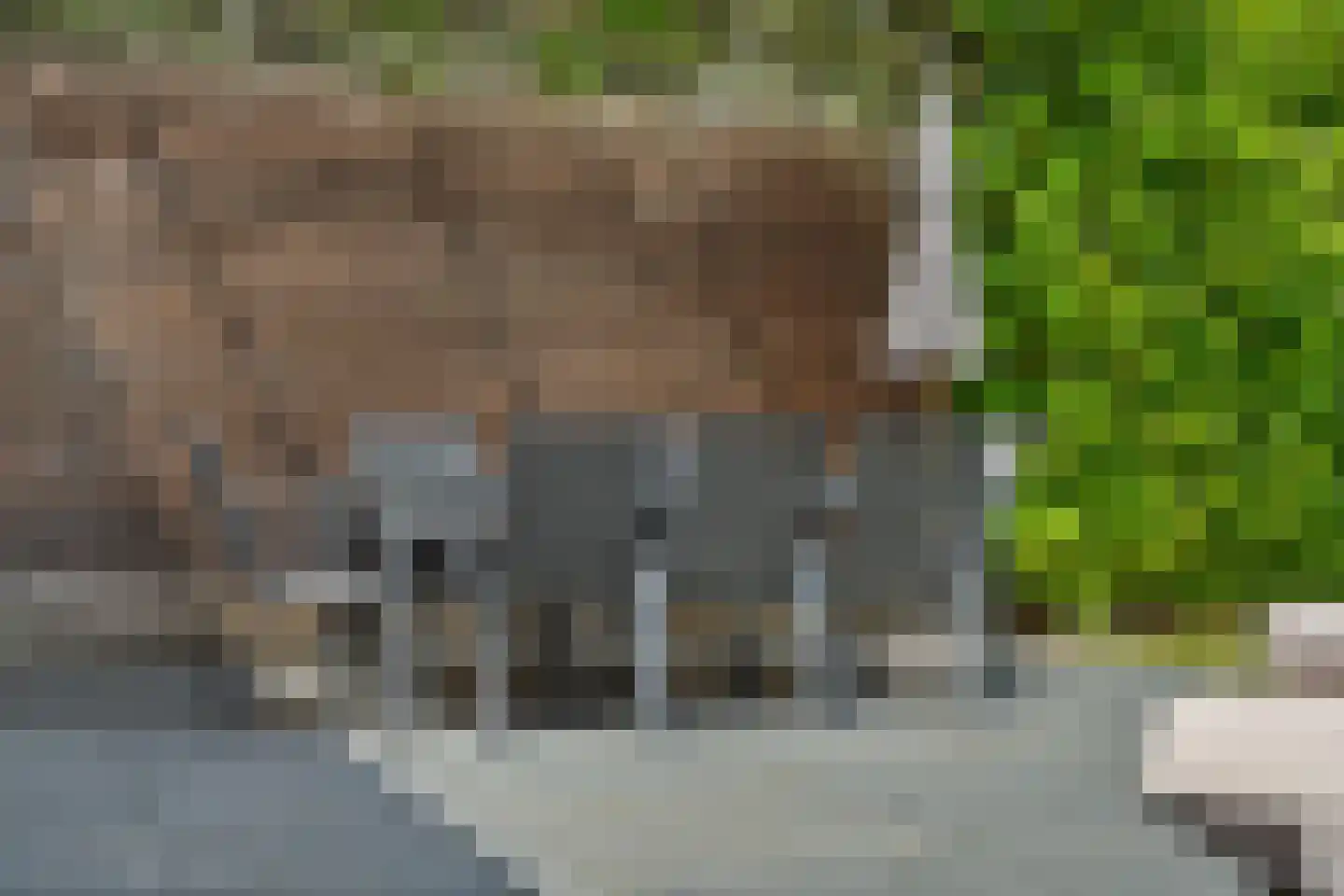 Zevenheuvelenweg 70 Berg en Dal thumbnail 42