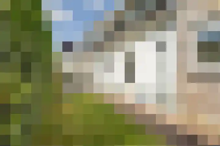 Zevenheuvelenweg 79 Berg en Dal thumbnail 54