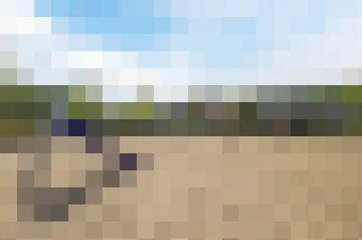 Zevenheuvelenweg 79 Berg en Dal thumbnail 65