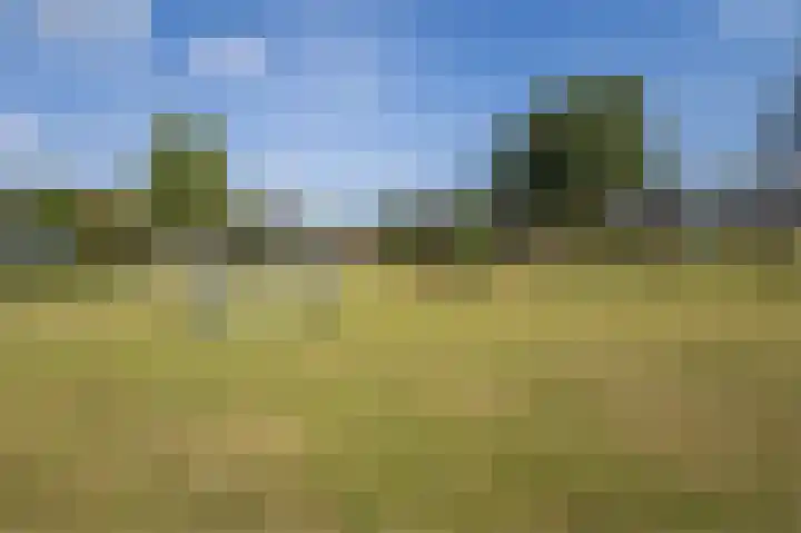 Zevenheuvelenweg 79 Berg en Dal thumbnail 66