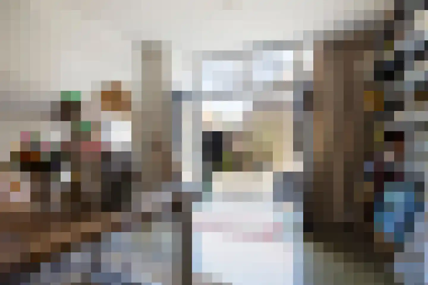 Zevenhuisstraat 8 Zierikzee thumbnail 24