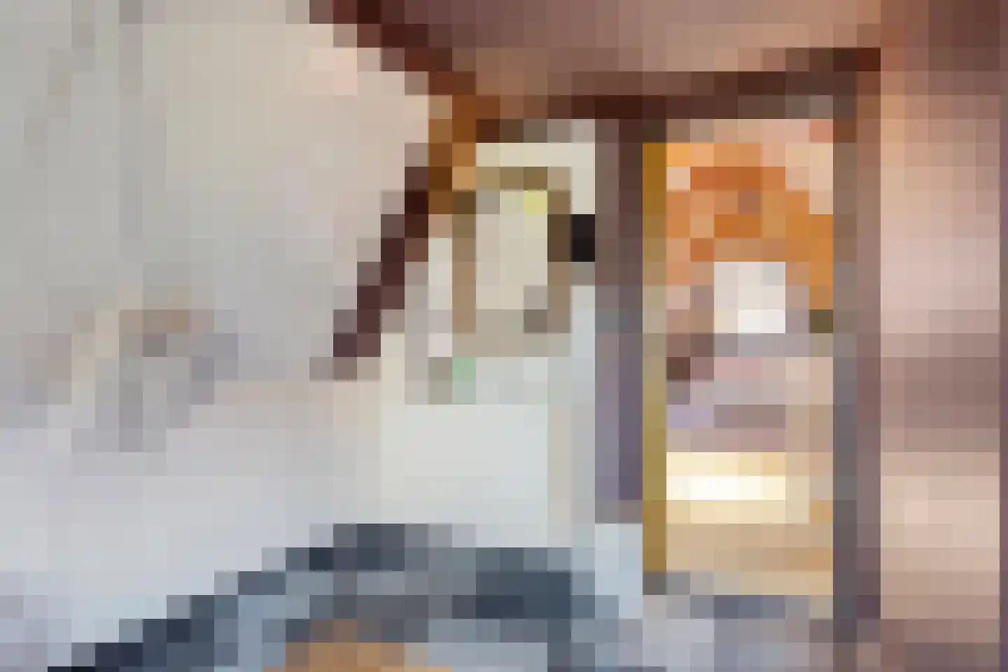 Zevenhuisstraat 8 Zierikzee thumbnail 31