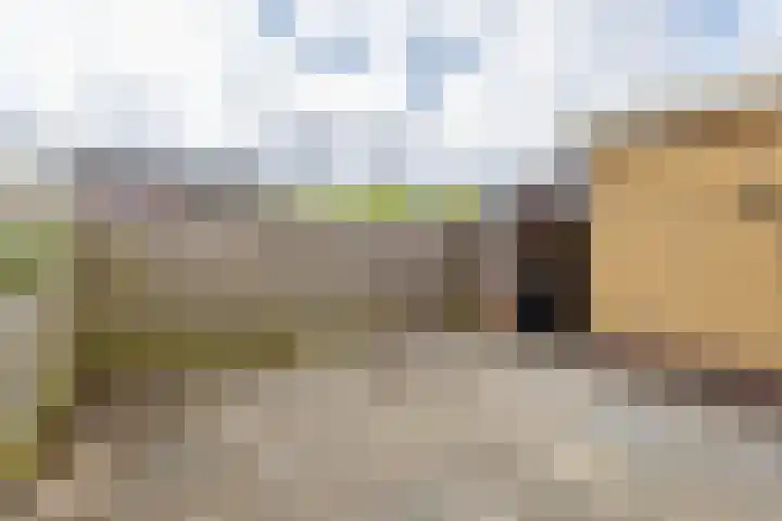 Zevenhuisterweg 1 A Ried thumbnail 28