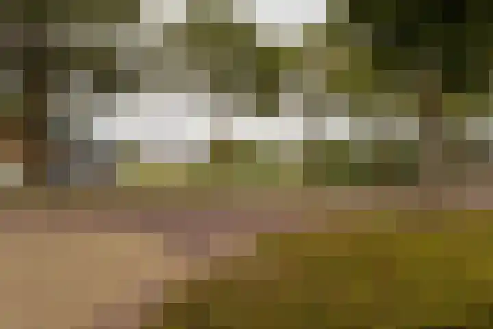 Zevenhuisterweg 1 A Ried thumbnail 30