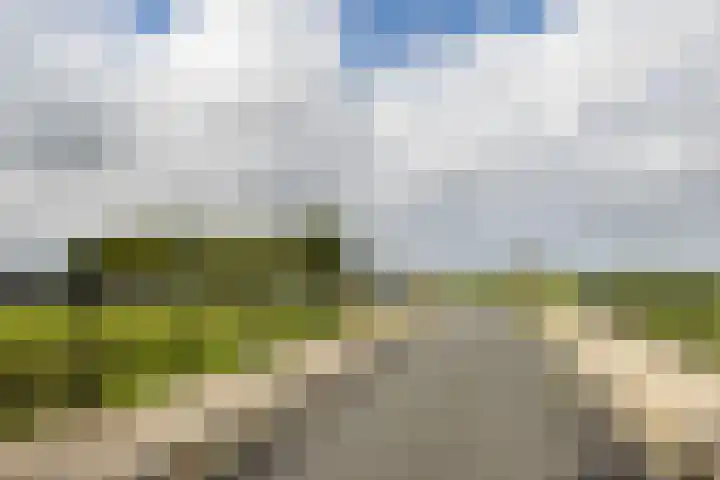 Zevenhuisterweg 1 A Ried thumbnail 31