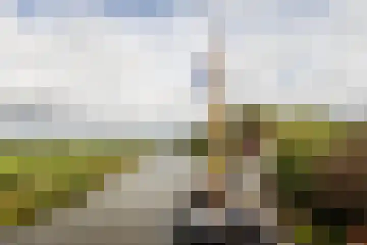 Zevenhuisterweg 1 A Ried thumbnail 32