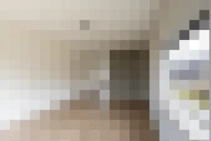 Zevenhuisterweg 1 A Ried thumbnail 8