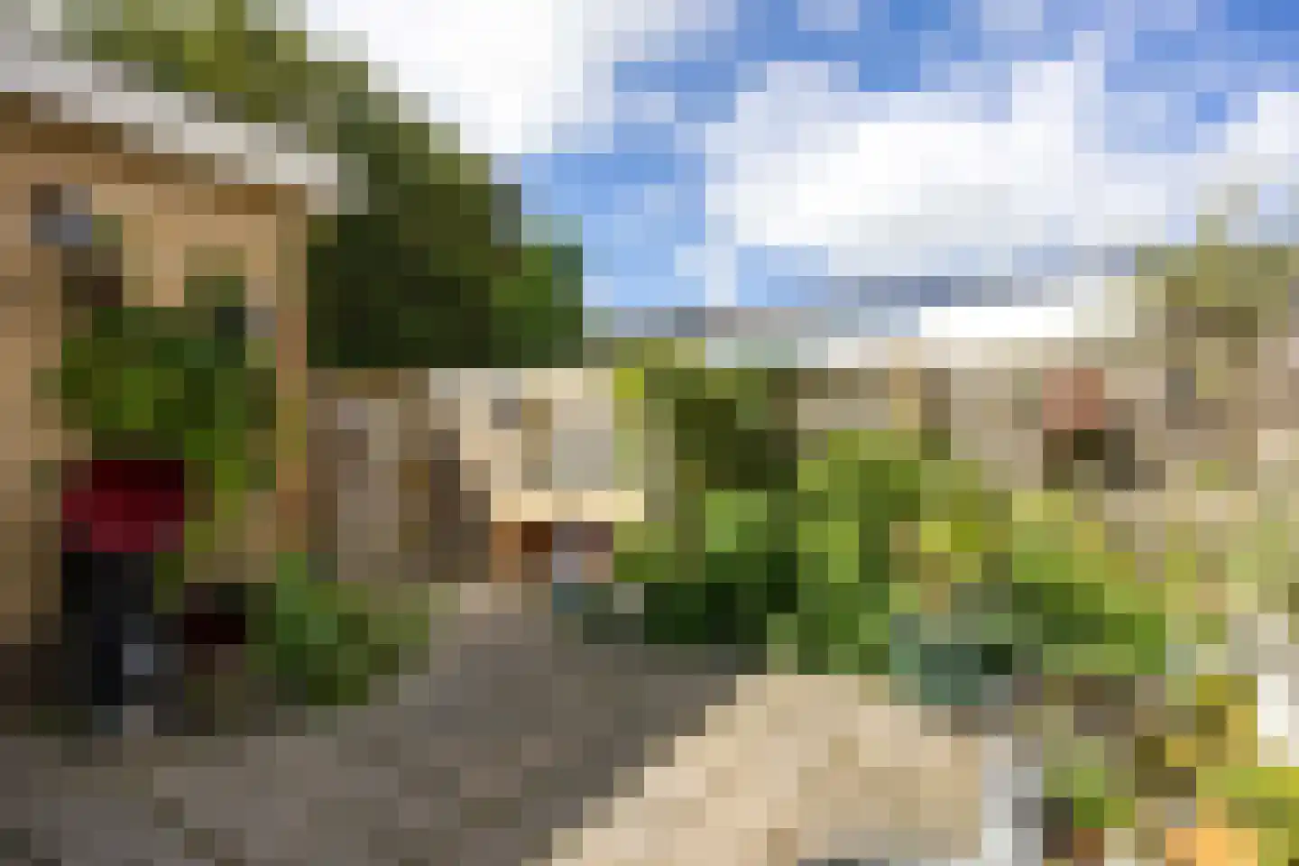 Zevenhuisterweg 1 B Ried thumbnail 30