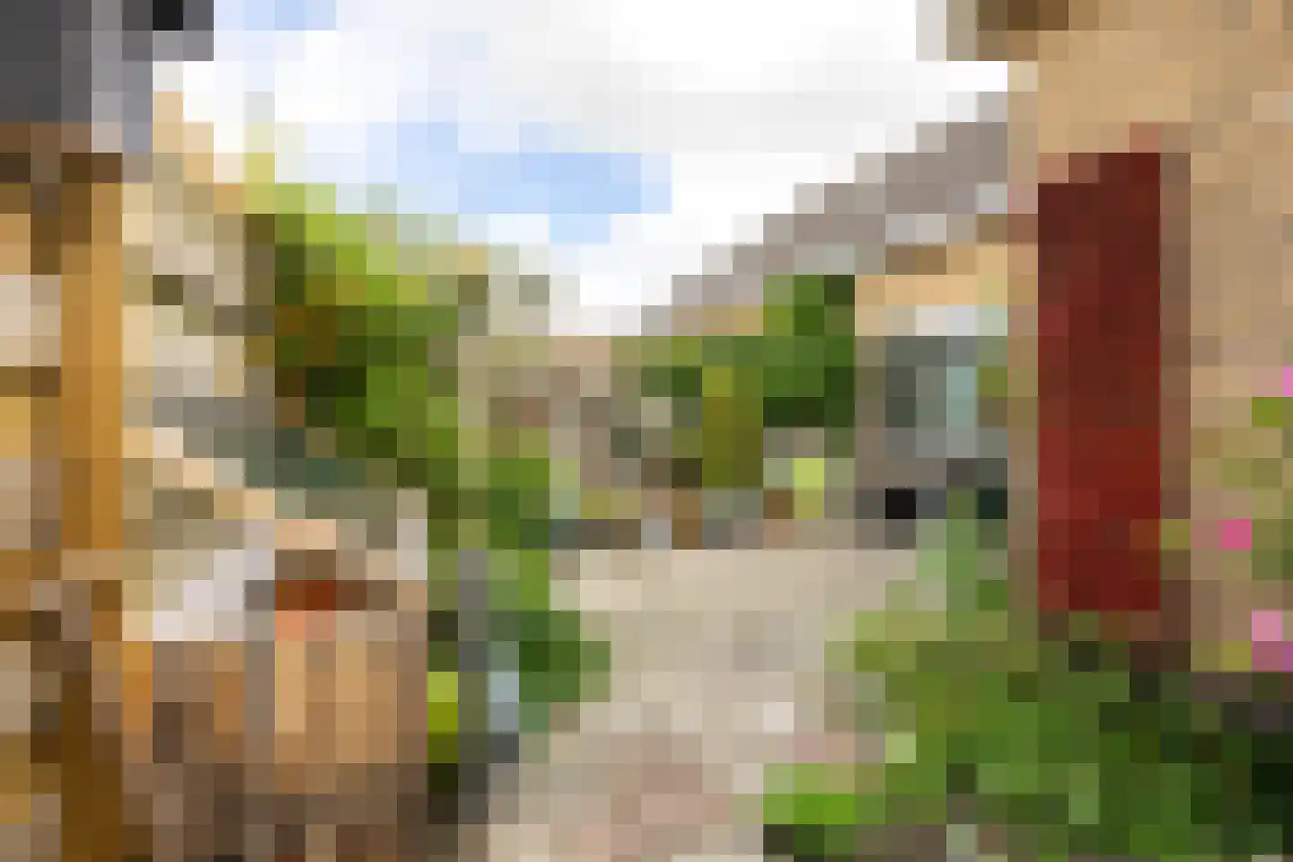 Zevenhuisterweg 1 B Ried thumbnail 32