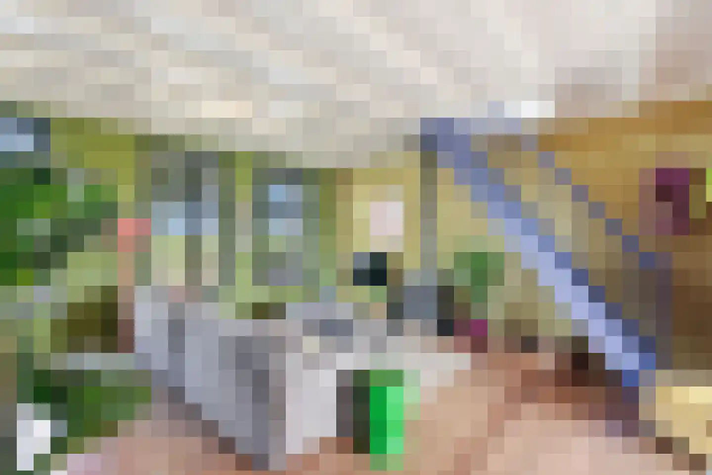 Zevenhuisterweg 15 Ried thumbnail 18