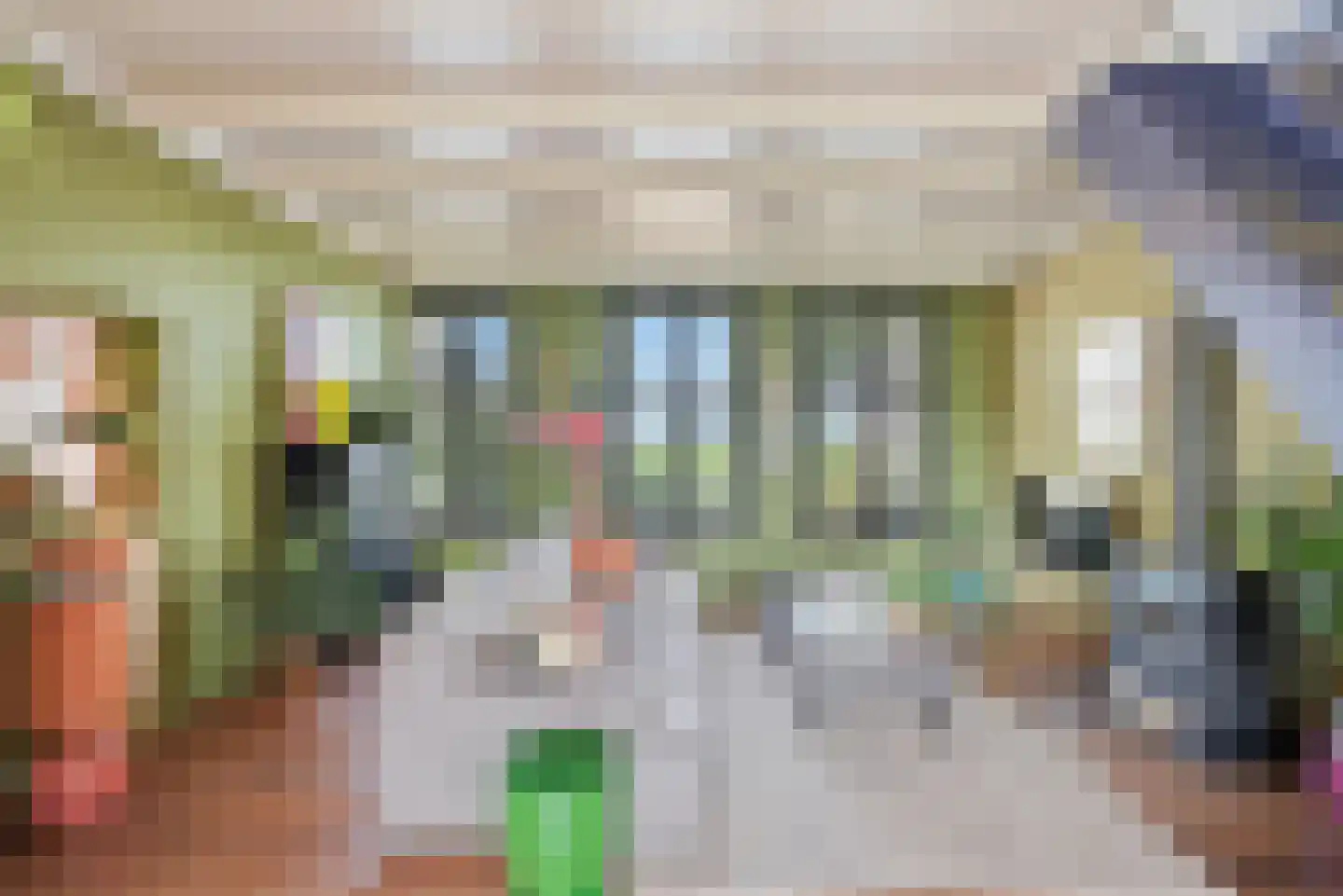 Zevenhuisterweg 15 Ried thumbnail 20