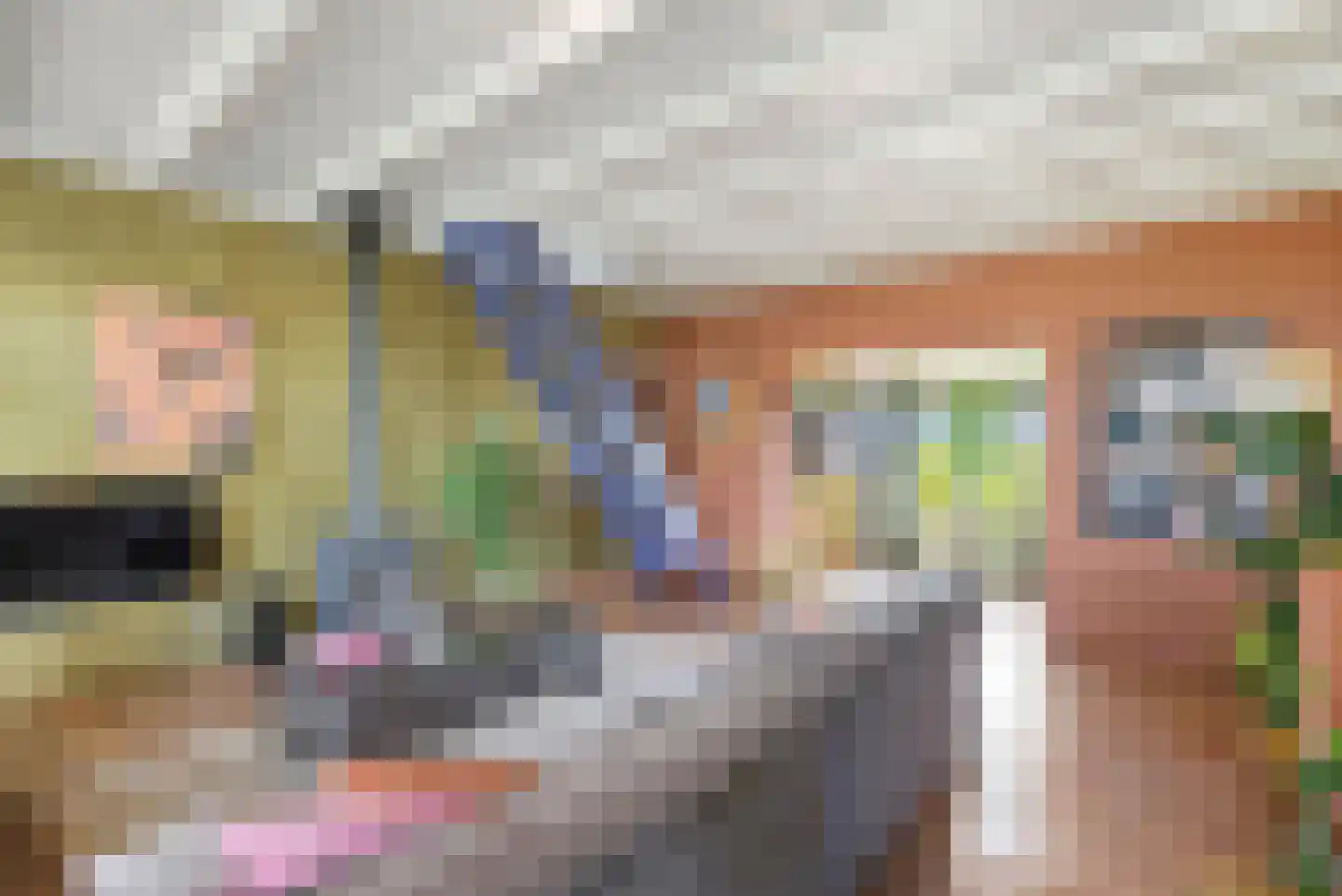 Zevenhuisterweg 15 Ried thumbnail 22