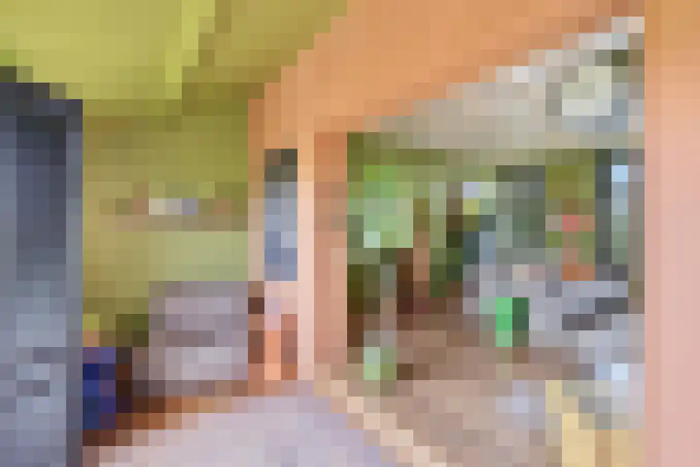 Zevenhuisterweg 15 Ried thumbnail 24