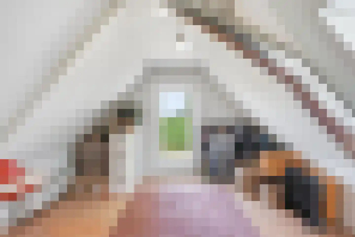 Zevenhuisterweg 15 Ried thumbnail 29
