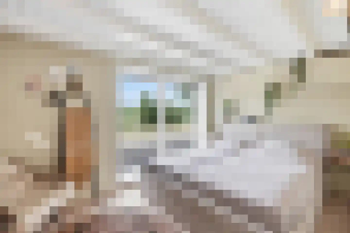 Zevenhuisterweg 15 Ried thumbnail 31