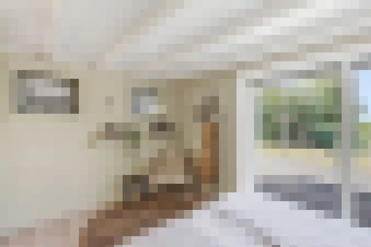 Zevenhuisterweg 15 Ried thumbnail 32