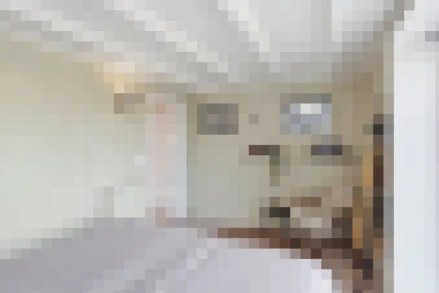 Zevenhuisterweg 15 Ried thumbnail 33
