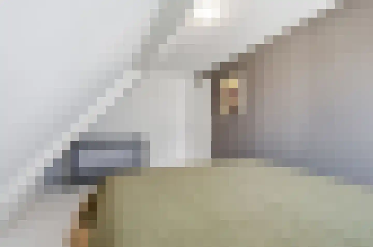 Zevenhuisterweg 15 Ried thumbnail 45