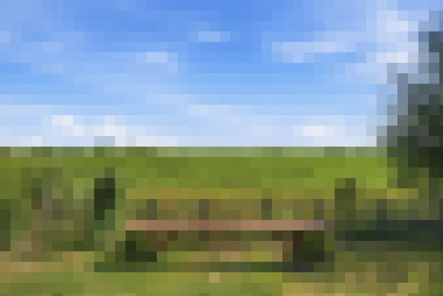 Zevenhuisterweg 15 Ried thumbnail 48