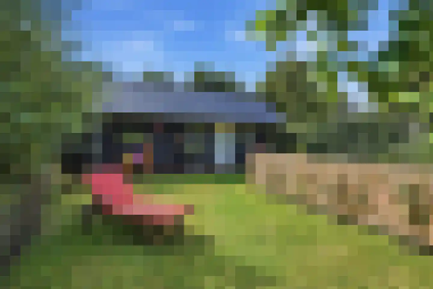 Zevenhuisterweg 15 Ried thumbnail 51