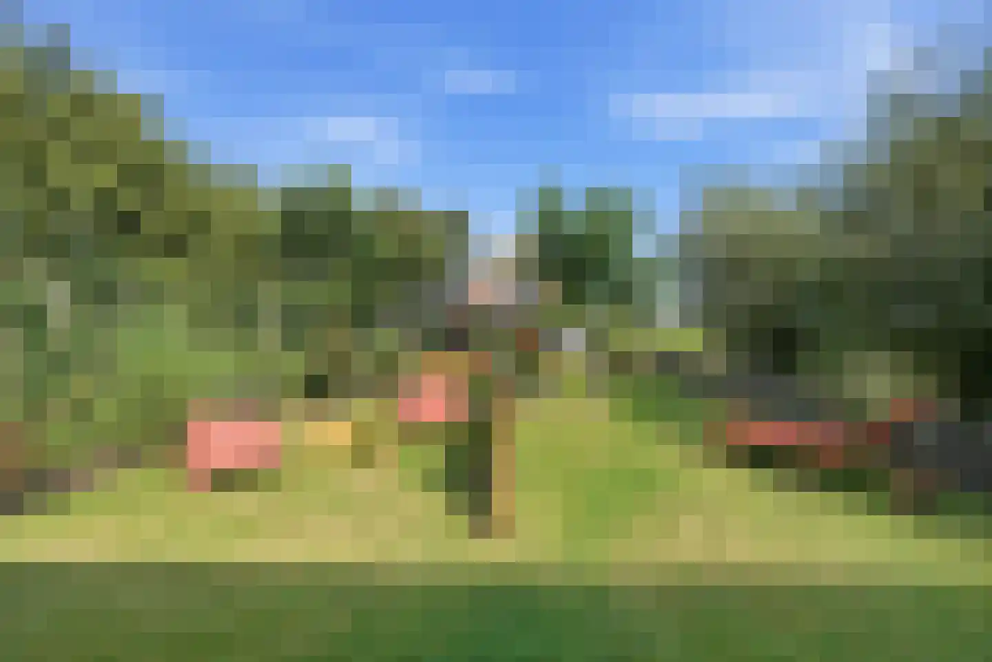 Zevenhuisterweg 15 Ried thumbnail 55