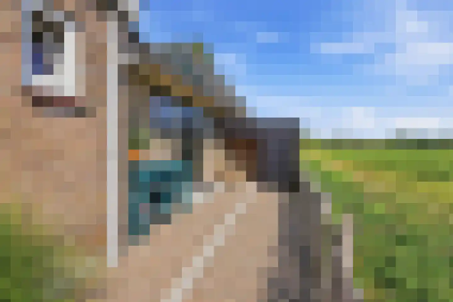 Zevenhuisterweg 15 Ried thumbnail 58