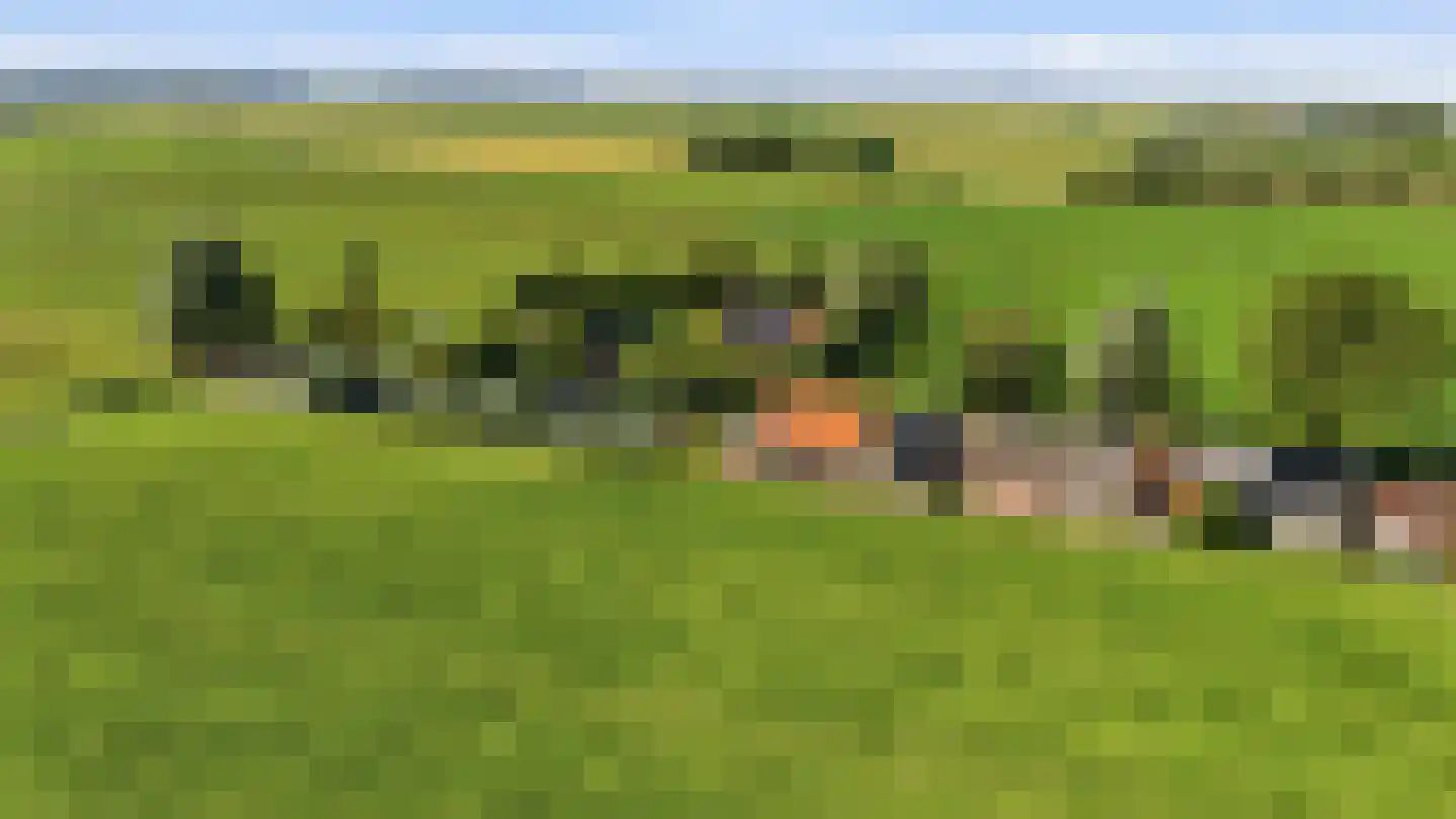 Zevenhuisterweg 15 Ried thumbnail 60