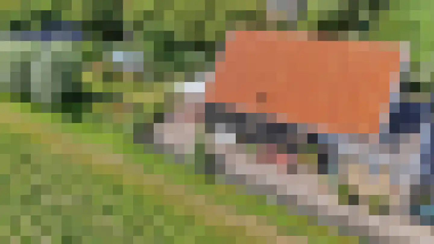 Zevenhuisterweg 15 Ried thumbnail 62