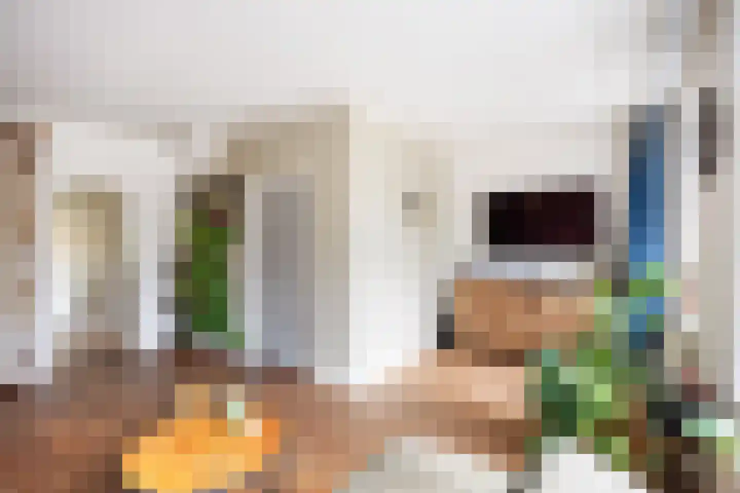 Zevenhuisterweg 3 Ried thumbnail 18