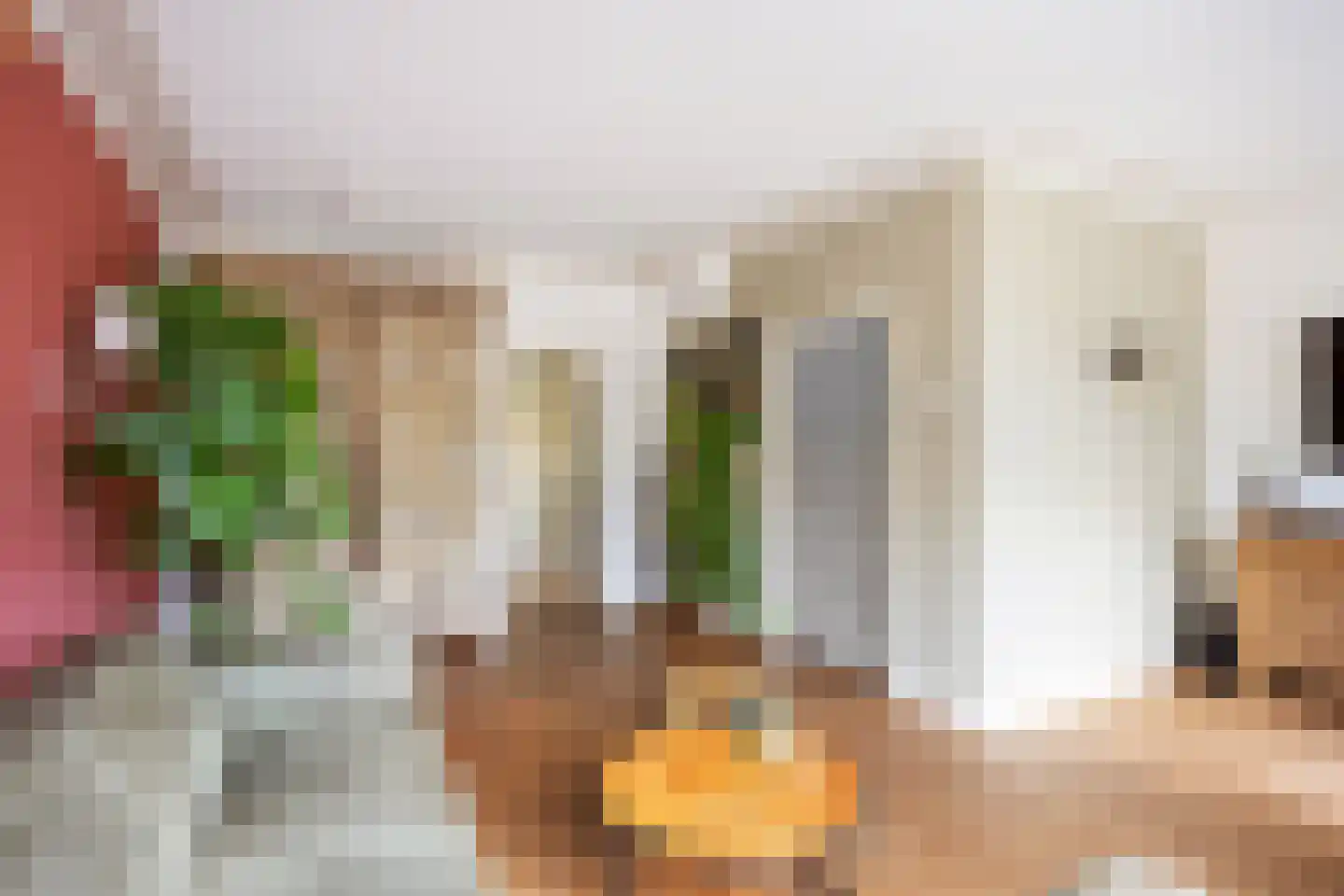 Zevenhuisterweg 3 Ried thumbnail 19