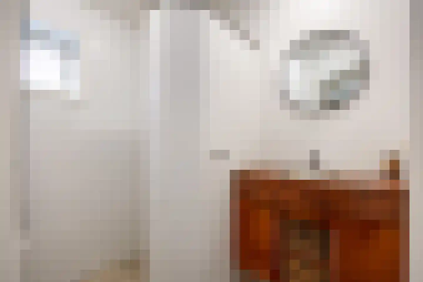 Zevenhuisterweg 3 Ried thumbnail 30