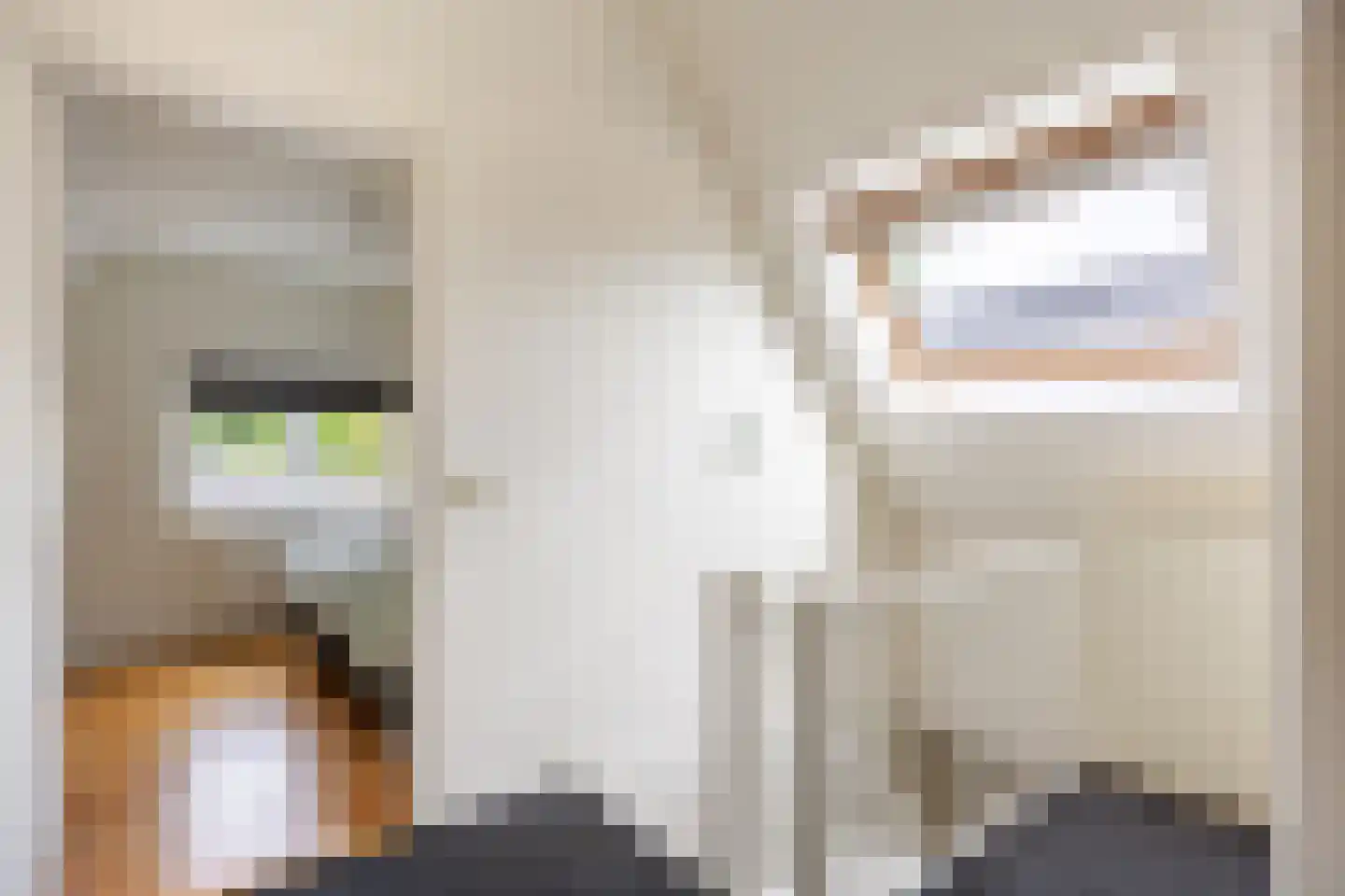 Zevenhuisterweg 3 Ried thumbnail 39