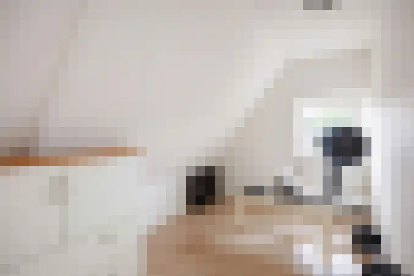 Zevenhuisterweg 3 Ried thumbnail 40