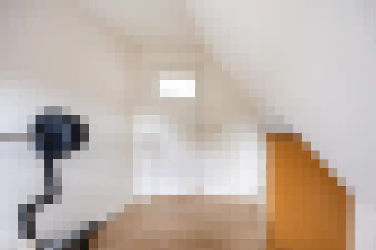 Zevenhuisterweg 3 Ried thumbnail 41