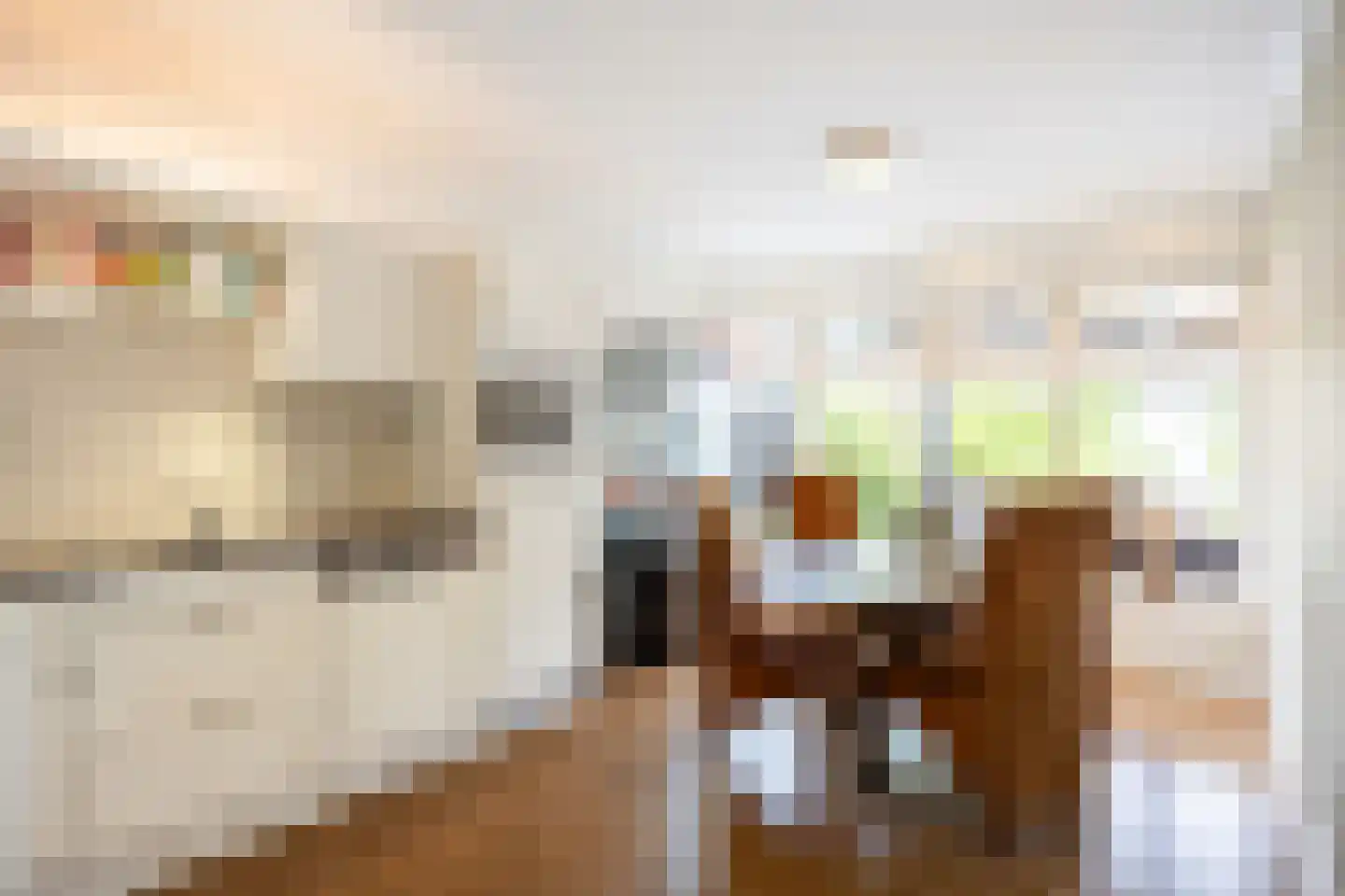 Zevenhuisterweg 3 Ried thumbnail 5