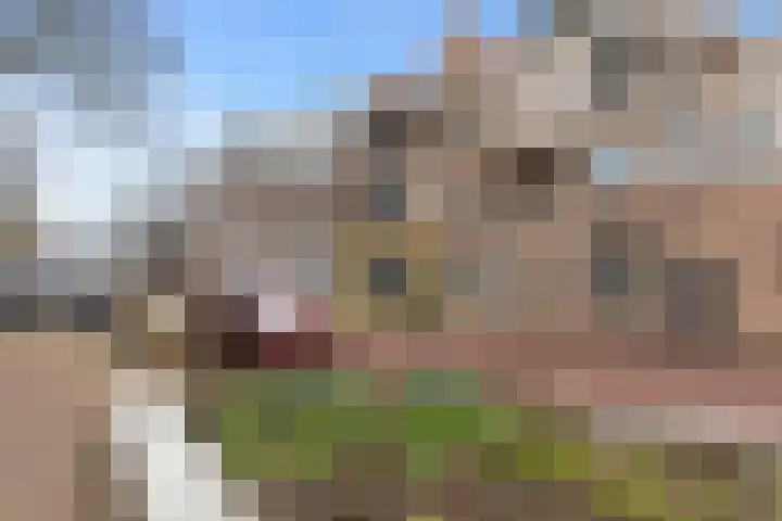 Zevenhuizen 16 Alkmaar
