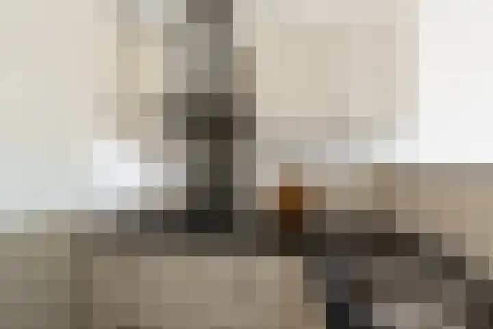 Zevenhuizen 16 Alkmaar thumbnail 10