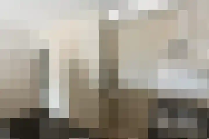 Zevenhuizen 16 Alkmaar thumbnail 11
