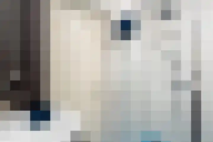 Zevenhuizen 16 Alkmaar thumbnail 15