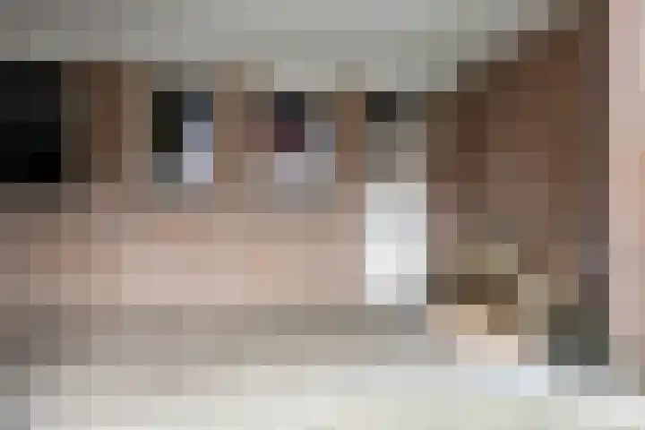 Zevenhuizen 16 Alkmaar thumbnail 21
