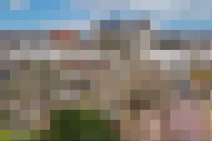 Zevenhuizen 16 Alkmaar thumbnail 29