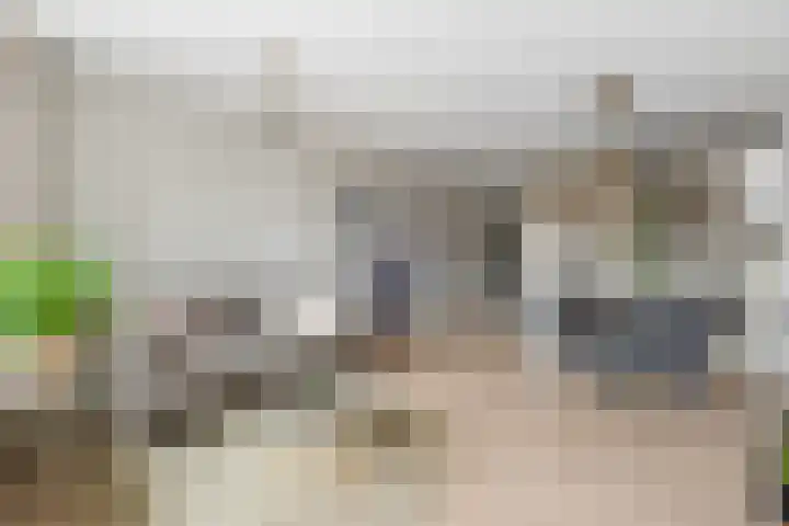 Zevenhuizen 16 Alkmaar thumbnail 4