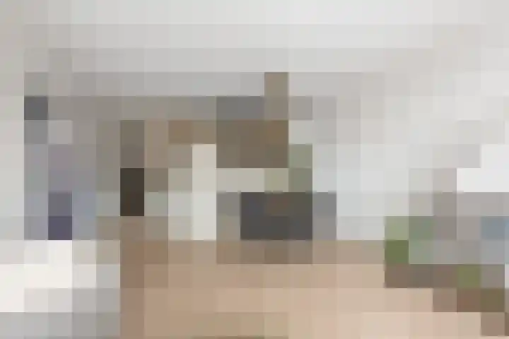 Zevenhuizen 16 Alkmaar thumbnail 5